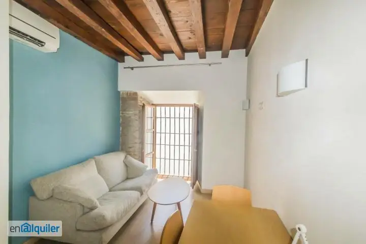 Alquiler Piso Amueblado 1 Dormitorio Albaicin Granada