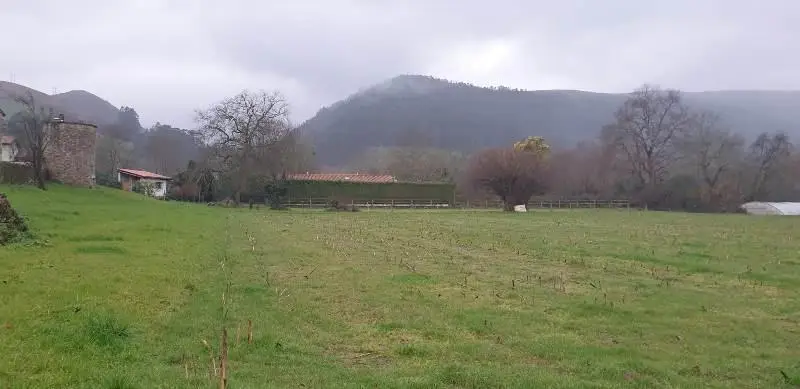 Venta Terreno 8 Chalets Mazcuerras 4317m2