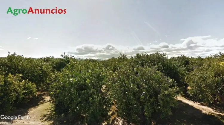 Finca Regadío Valencia Carcaixent 18924m2 Vivienda