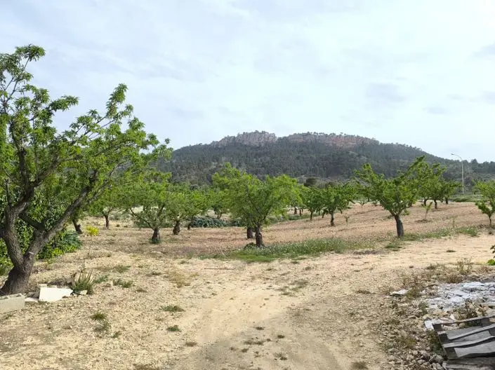 Casa Cueva 7 Dormitorios Venta Pinoso Jumilla