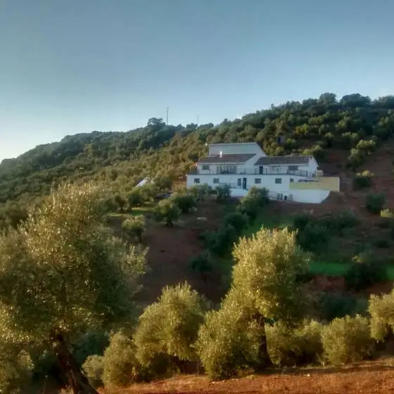 Casa de Campo con 6 Dormitorios y Piscina en Montoro