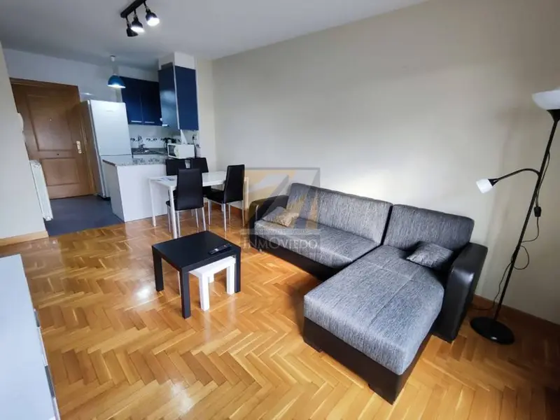 venta Apartamento en Oviedo, Asturias (009571)- Globaliza