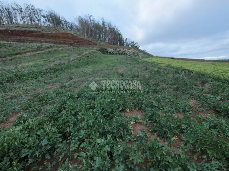 Terreno Rustico en Venta cerca de La Laguna