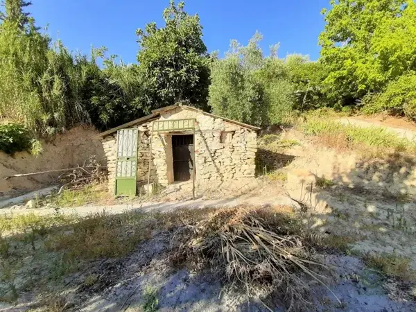 Huerta en Venta La Iruela 6444m2