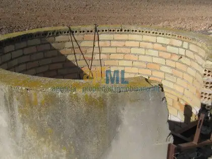 Finca Rustica 60 Hectareas Regadio Sevilla