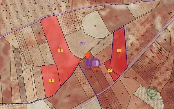 Finca con 30 Olivos en Ciudad Real