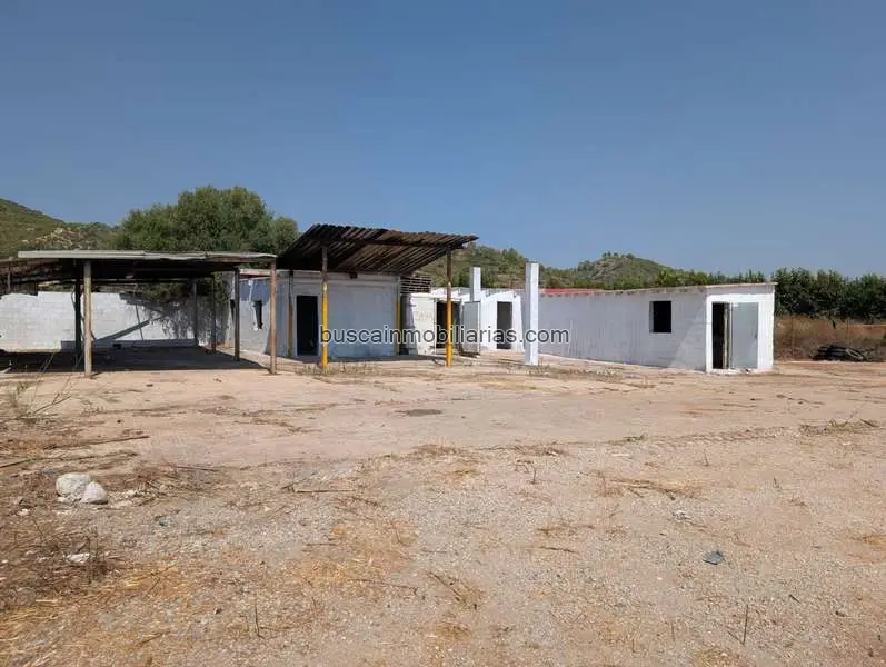Parcela Rustica en Venta en Alfarp 2291m2
