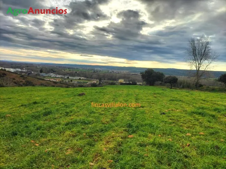 Venta  de Finca de regadío en Cáceres