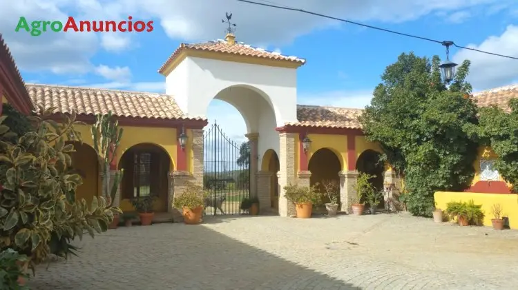 Venta  de Finca de recreo en Sevilla