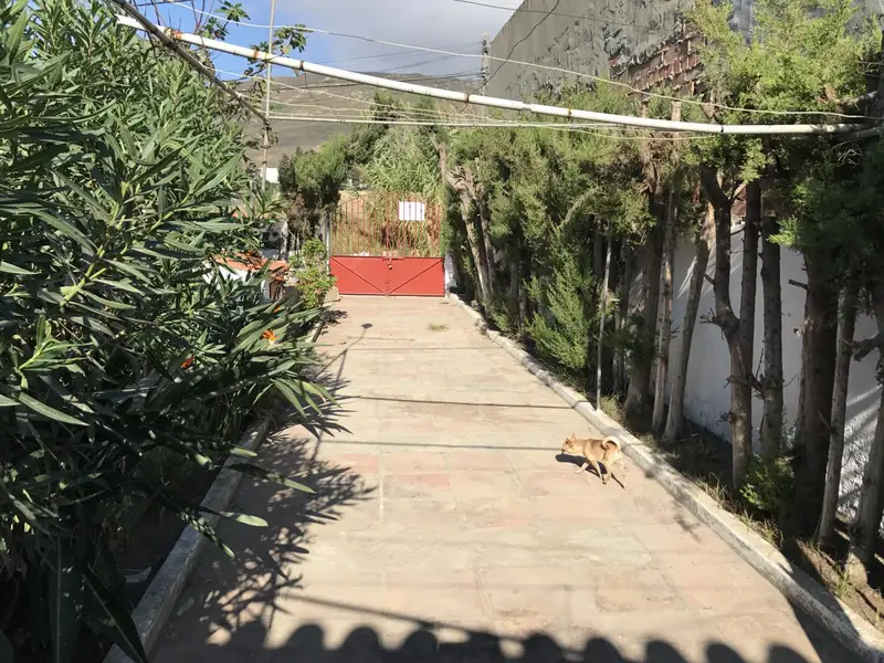 Venta Finca Zabal La Línea de la Concepción