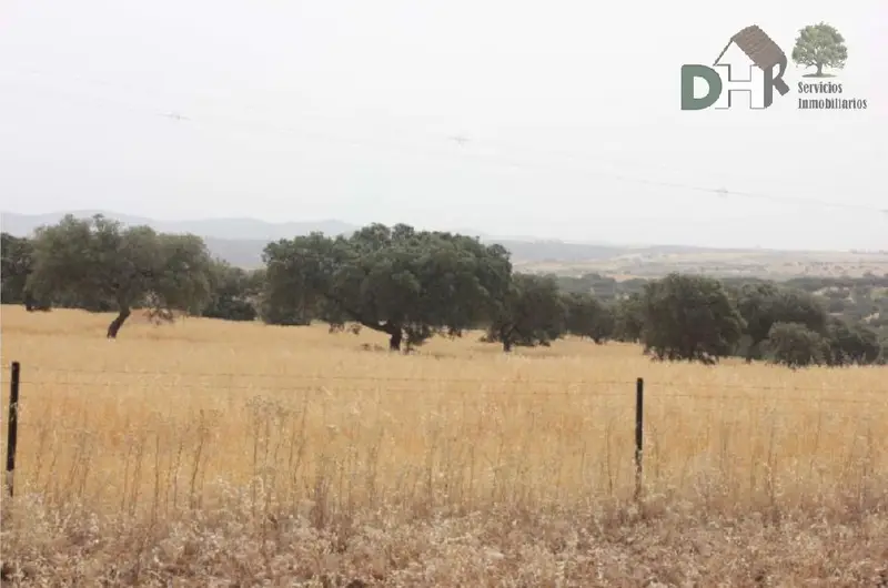 Venta Finca Ganadera 289 Has Badajoz Instalaciones Porcino
