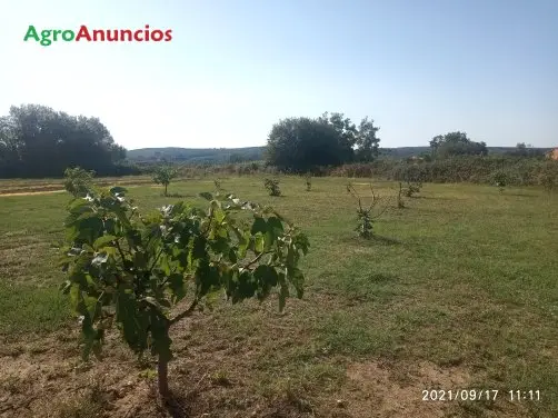 Venta  de Finca de recreo en Cáceres