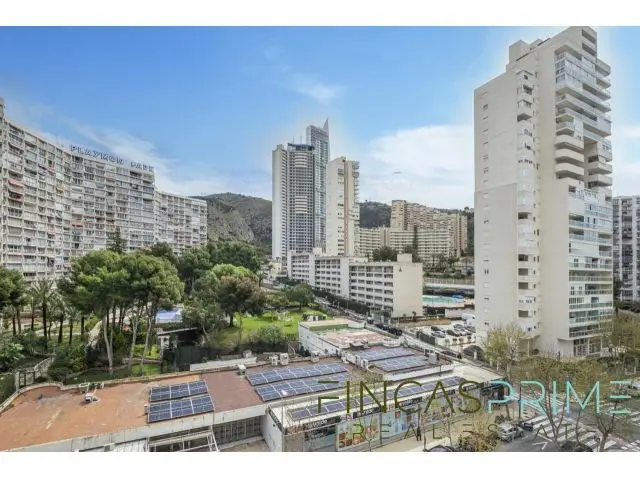Apartamento 1 Habitacion Benidorm Alquiler Temporal Octubre Mayo