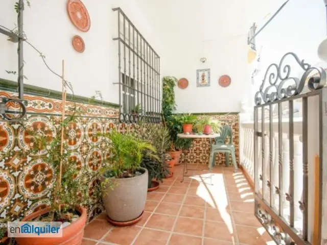 Casa en Guaro para Empresas 8 Personas