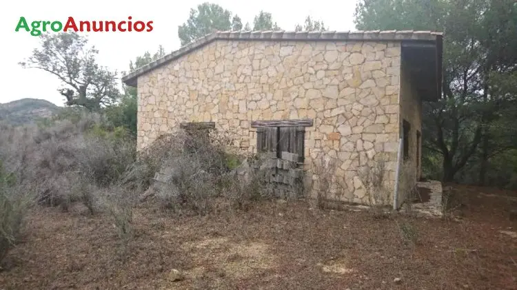 Venta  de Finca de regadío y monte con dos viviendas en Castellón