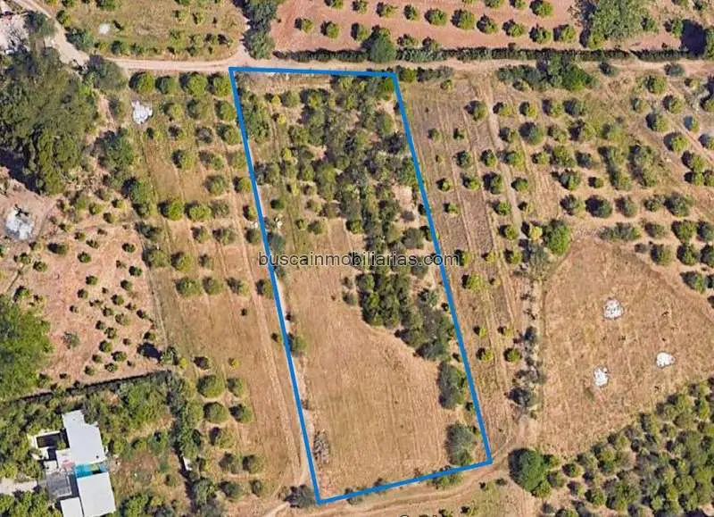 Parcela Rústica en Campanillas Málaga 4300m2