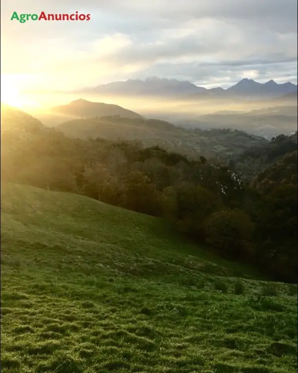 Venta  de Finca ganadera en Asturias