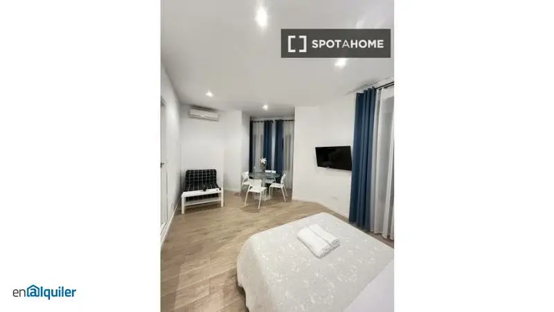 Estudio Amplio y Soleado en Moncloa - Ideal Parejas
