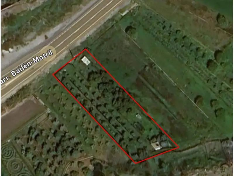 Venta Parcela Agricola Velez Benaudalla 2251m2
