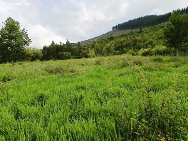 Venta Terreno Rustico Okondo 10000m2
