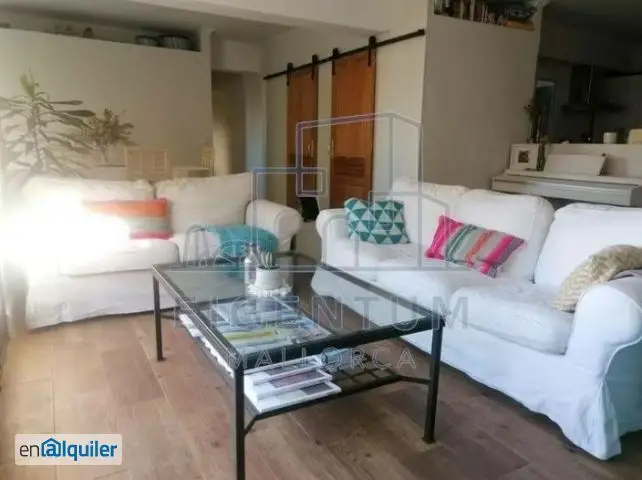 Alquiler piso 2 habitaciones Palma centro reformado