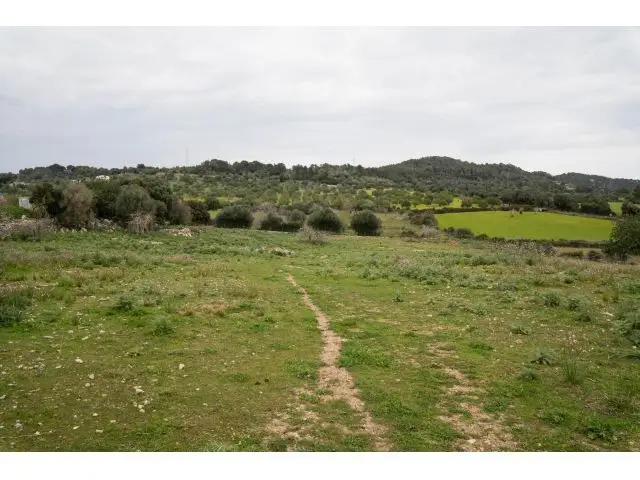Parcela Rustica Edificable Son Servera Mallorca 16867m2