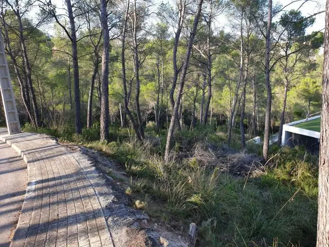 Terreno Urbano en Las Colinas de Olivella 5 Parcelas de 514m2