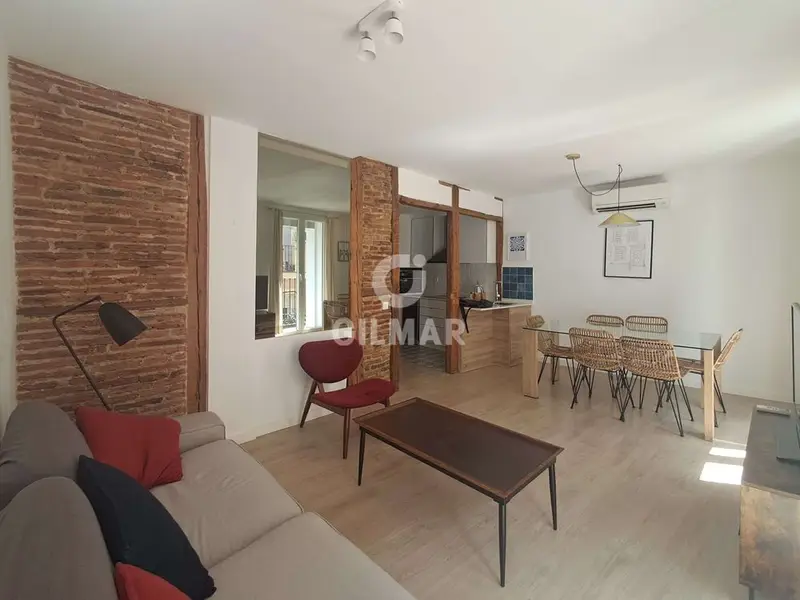 Piso en Alquiler Lavapiés Madrid 2 Dormitorios 45m²