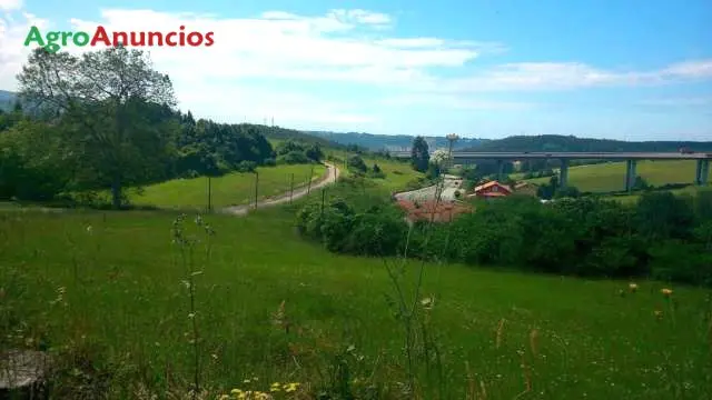 Venta  de Finca edificable para unifamiliar en Asturias