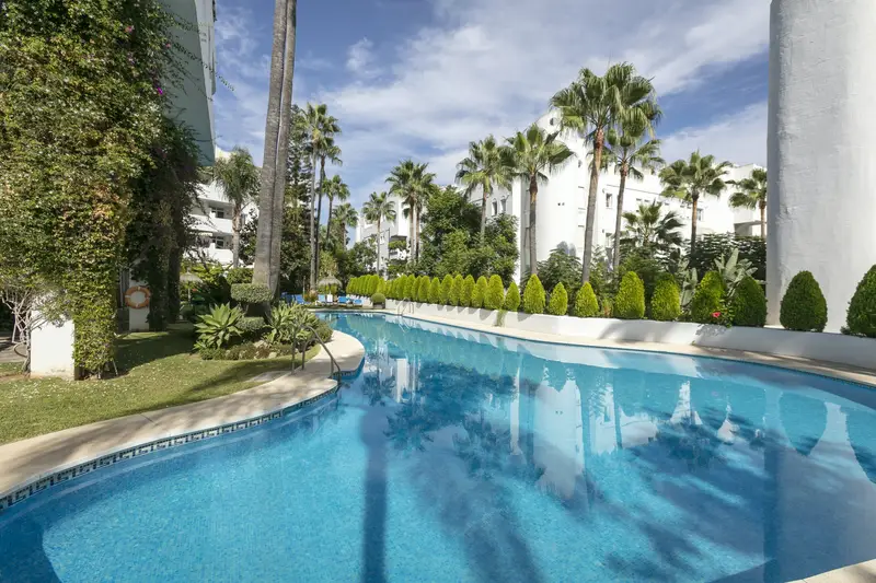 Apartamento 1 Dormitorio Alquiler Málaga