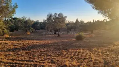 Finca rústica en venta en Navahermosa