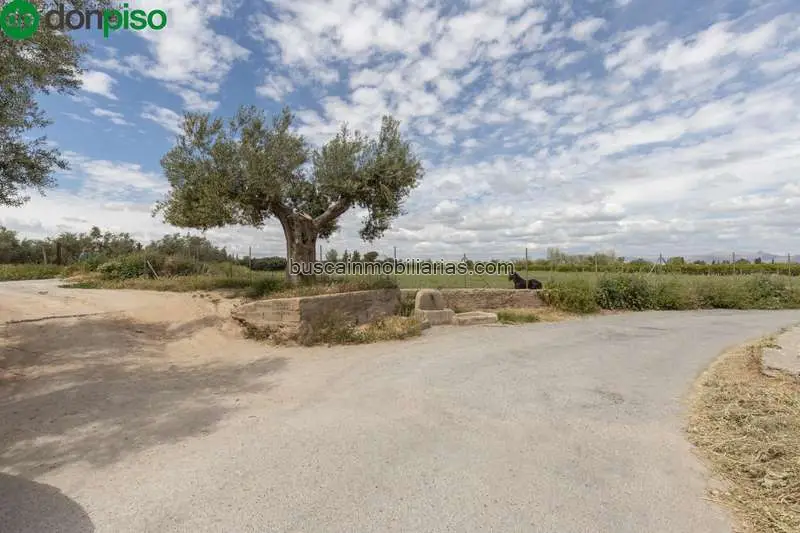 Parcela Rustica en Venta La Zubia - Inversion en Naturaleza