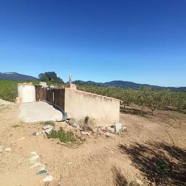 Finca Rustica con Olivos en Tarragona