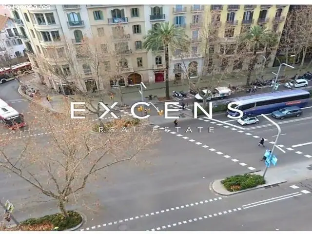 Gran Espacio Diagonal Francesc Macià Oficina Despacho