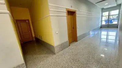 Apartamento en Alquiler: Una Habitacion Terraza Garaje Trastero