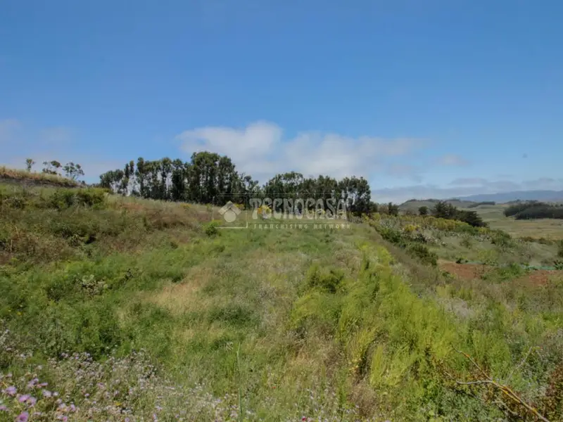 Terreno Rustico en Venta El Rosario 1785m2 Cultivo Granja
