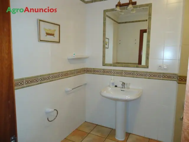 Alquiler  de Apartamentos turísticos en Lugo