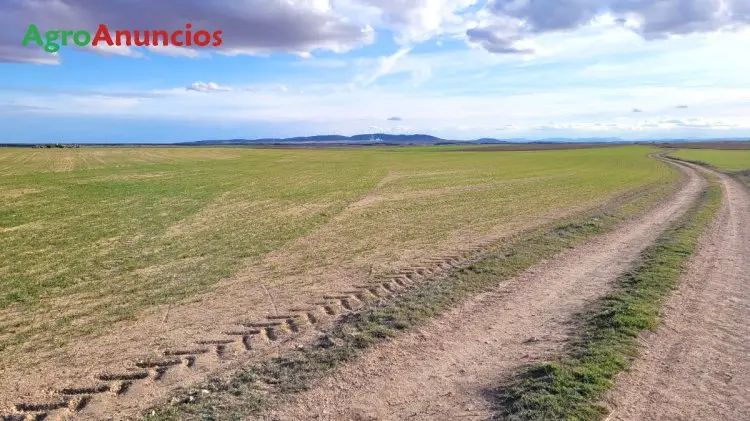 Venta  de Finca rústica en Toledo