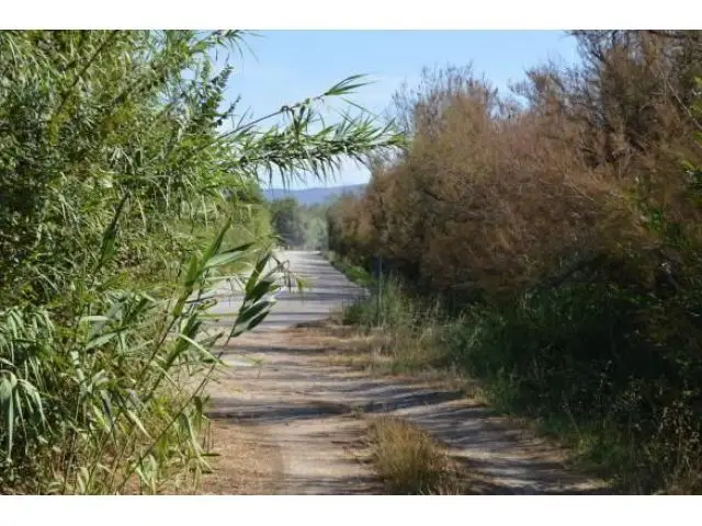 Finca Rustica en Venta Sant Pere Pescador Girona