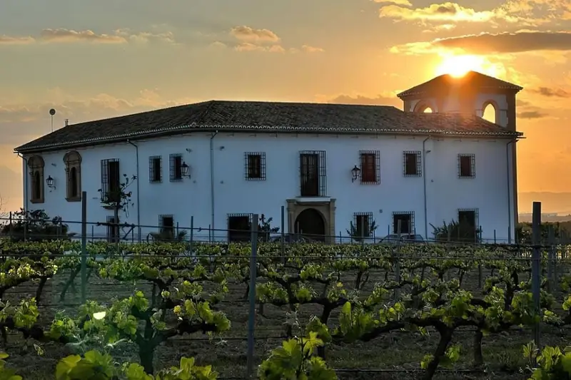 Cortijo de Lujo con Viñedos en Mollina 5 Dormitorios