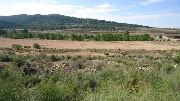 Parcela Edificable Monovar 86000m2 Agua de Riego