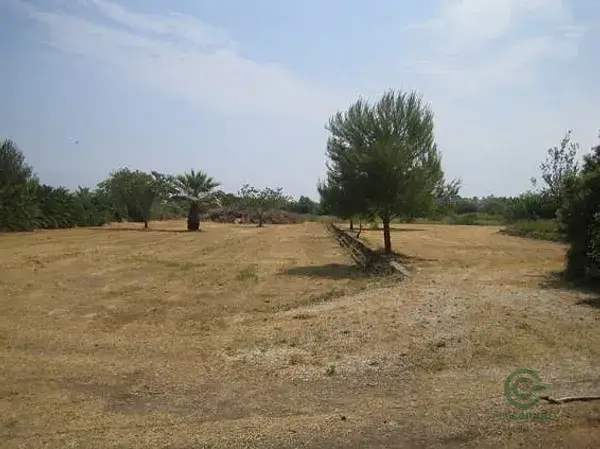 Gran Terreno Rustico en Denia cerca de la Playa
