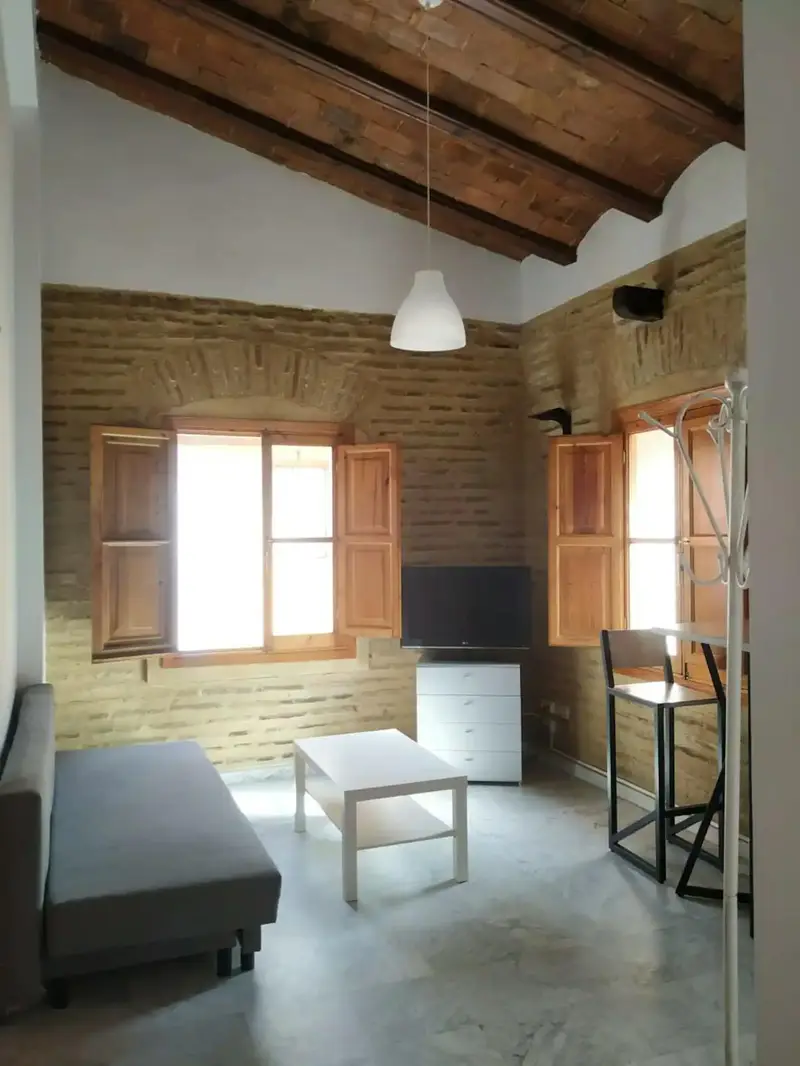 Apartamento 1 Dormitorio Valencia Centro