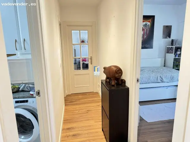 Piso 3 Dormitorios 2 Baños Centro Zamora