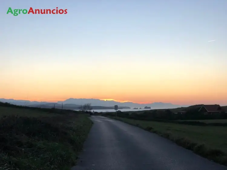 Demanda  de Finca de pastos para caballo en Cantabria