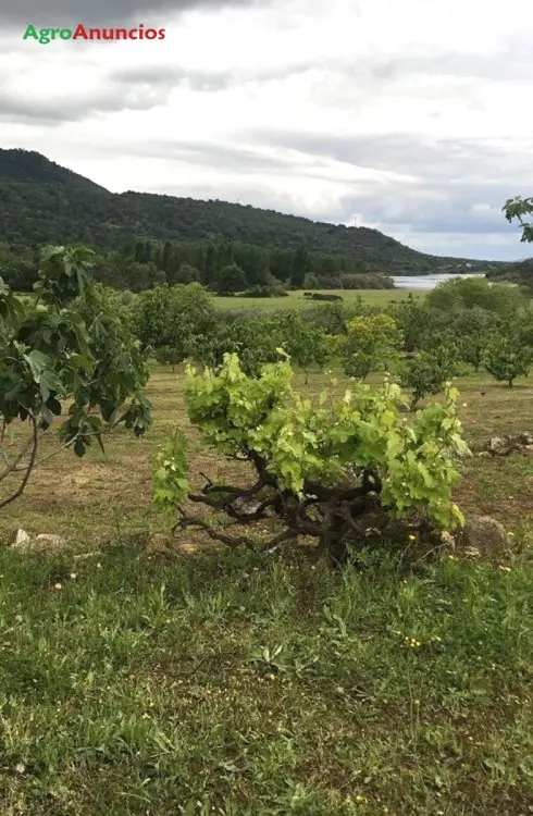 Venta  de Finca de recreo en Cáceres