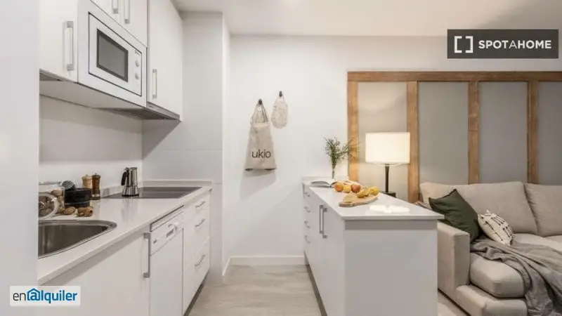 Apartamento de 1 dormitorio en alquiler en Trafalgar