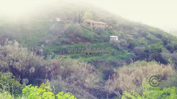 Finca Rustica Totalan Malaga Huerta Agua Pozo