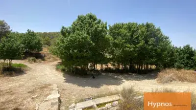 Finca Rústica en Alquiler Peña Zafra de Arriba