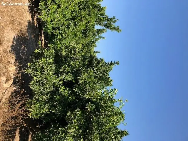 Finca Rustica De 226 Hectareas .Posibilidad Montar Placas Fotovoltaicas